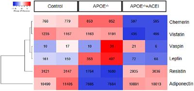 Prognostic value of plasma adipokine chemerin in patients with coronary artery disease